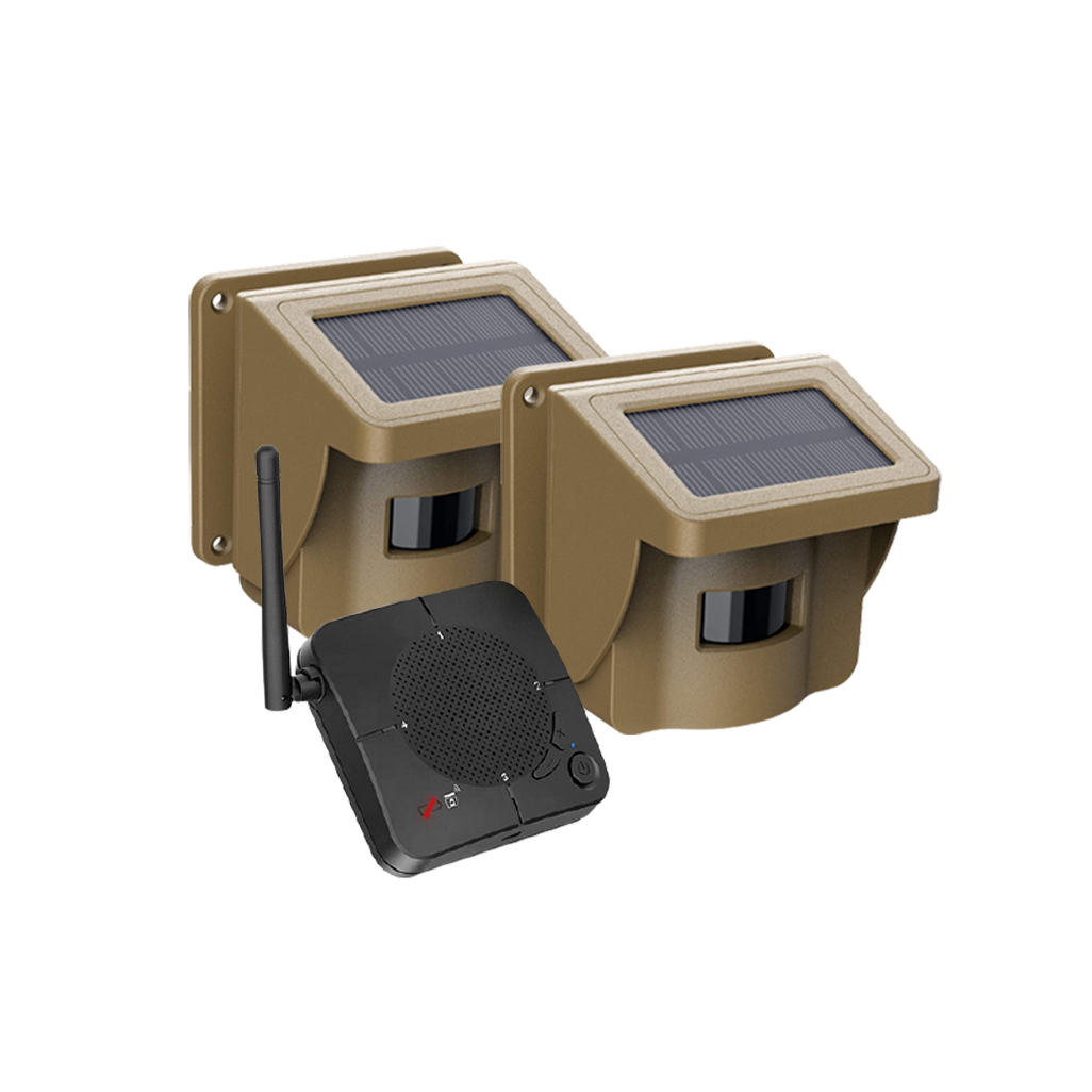 Solar Driveway Alarm System